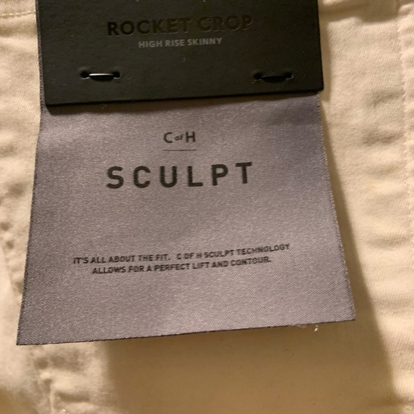 CITIZENS OF HUMANITY ROCKET CROP HIGH RISE PANT - Picture 6 of 6